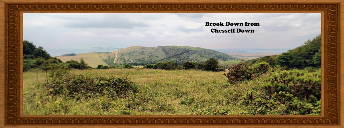 Brook Down from Chessell Down